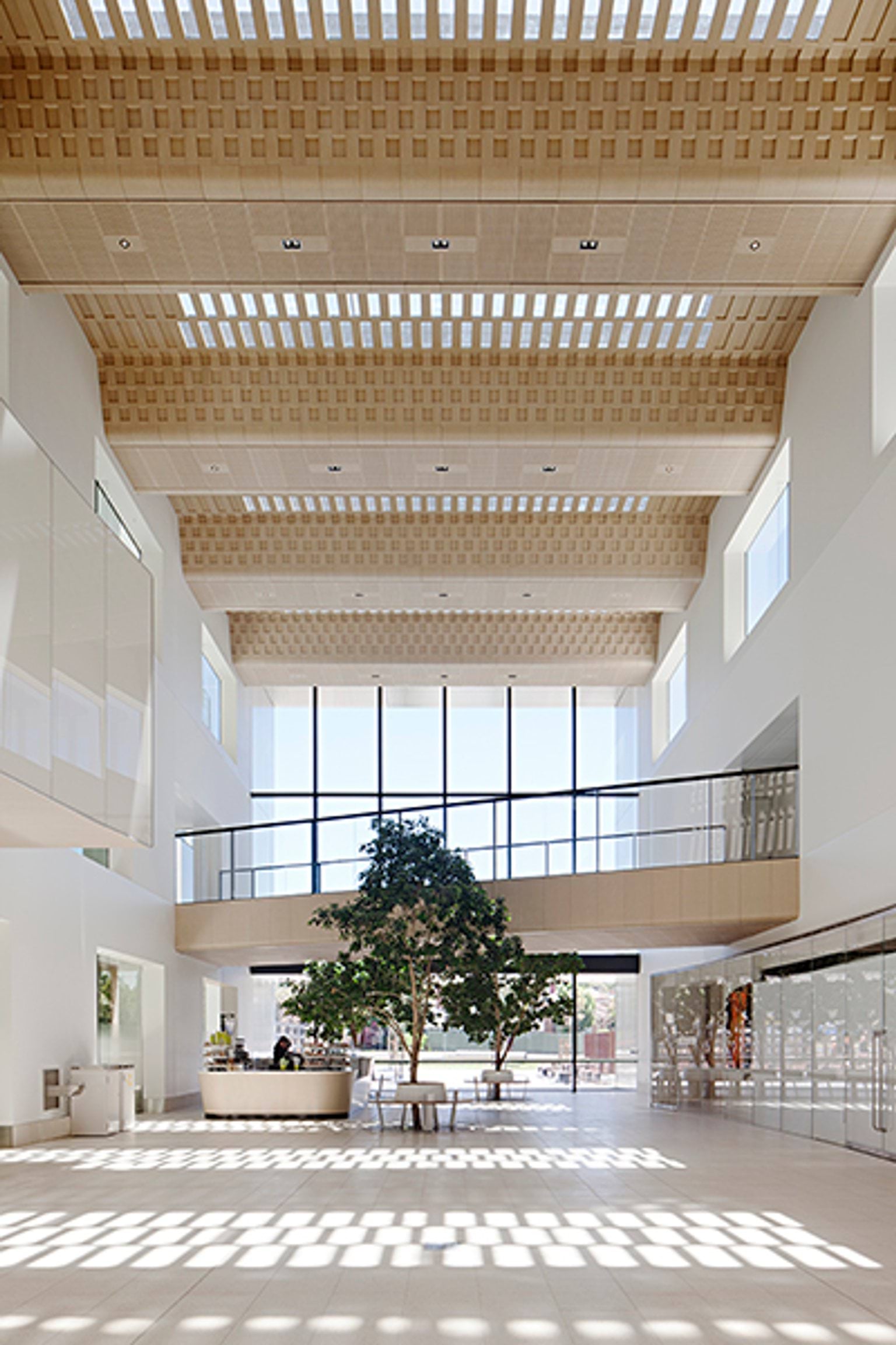Bendigo Hospital, Architects: Silver Thomas Hanley and Bates Smart, Landscape Architect: Oculus, Photographer: Shannon McGrath