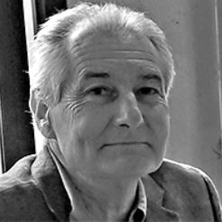 Peter Mould, Victorian Design Review Panel