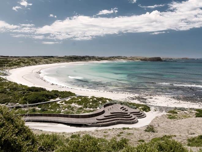 Phillip Island - Penguin Plus